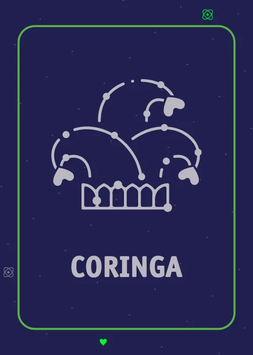 Carta: chapéu de bobo da corte em constelação, Coringa
