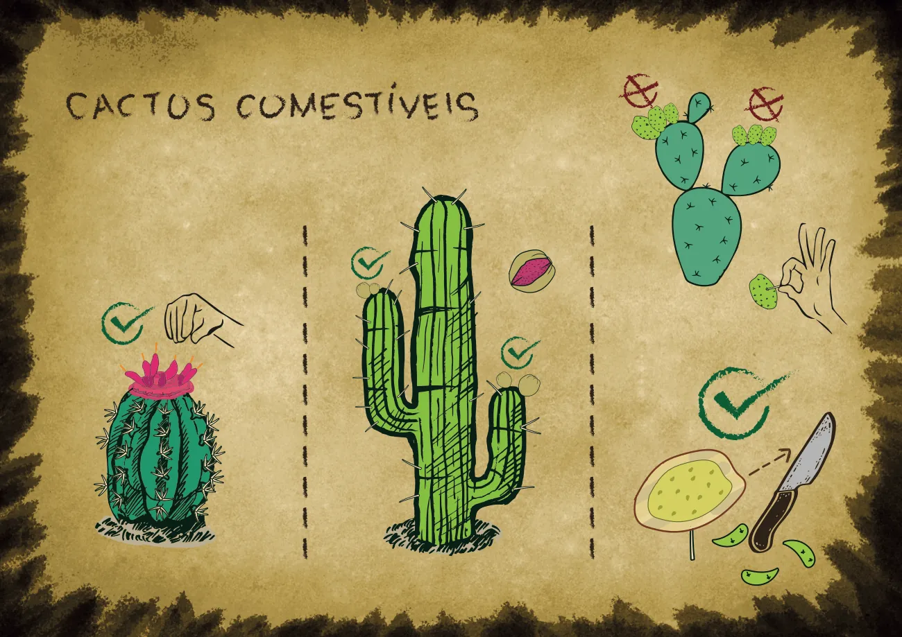 Página ilustrada: Cactos comestíveis, com sinais de certo e errado