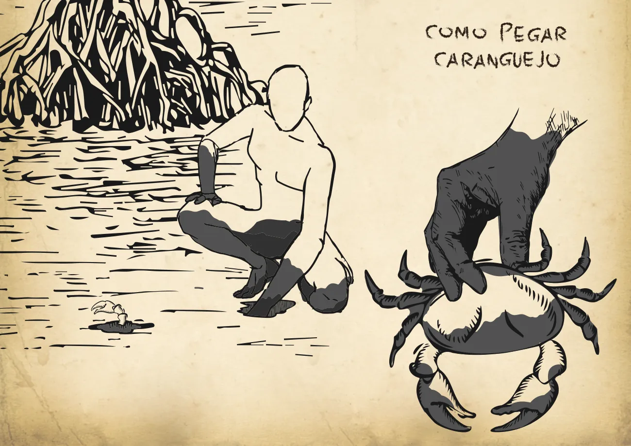 Página ilustrada em preto e branco: Como pegar caranguejo no mangue