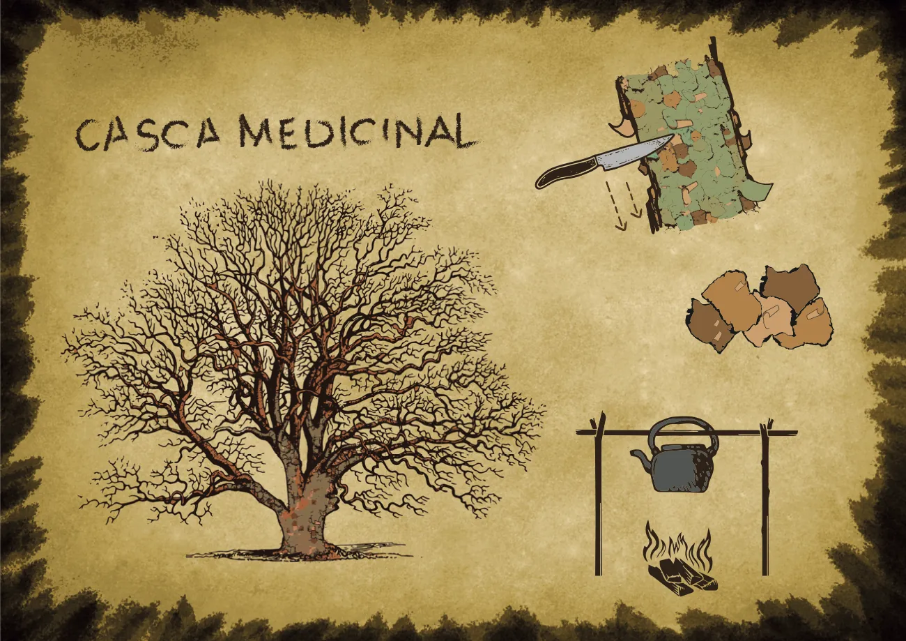 Página ilustrada: Casca medicinal, árvore e casca fervendo