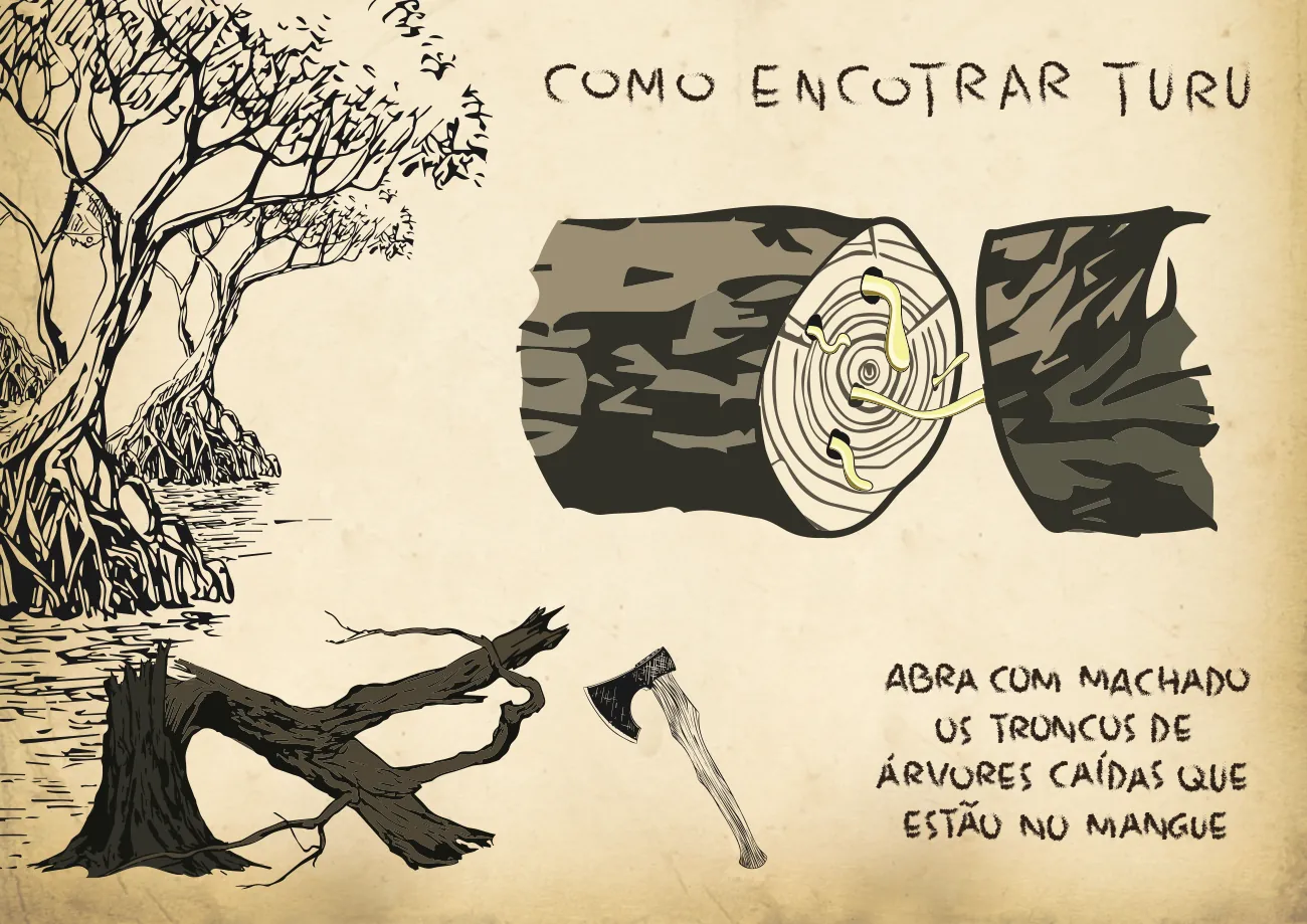 Página ilustrada: Como encontrar turu, tronco cortado com machado